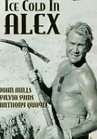 Zimne piwo w Aleksandrii