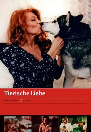 Zwierzęca miłość