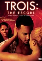 Życie w trójkącie 3: Facet do towarzystwa